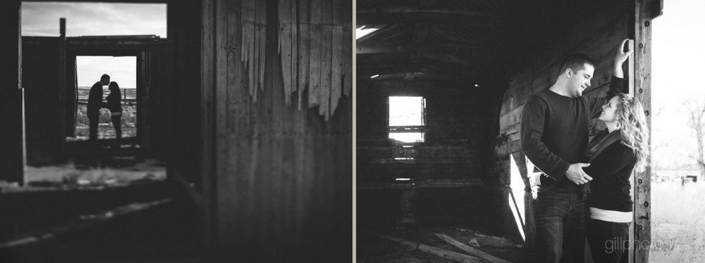 IMAGE: http://www.gillphotos.com/wp-content/uploads/2013/04/Denver_engagement-2-1024x382.jpg