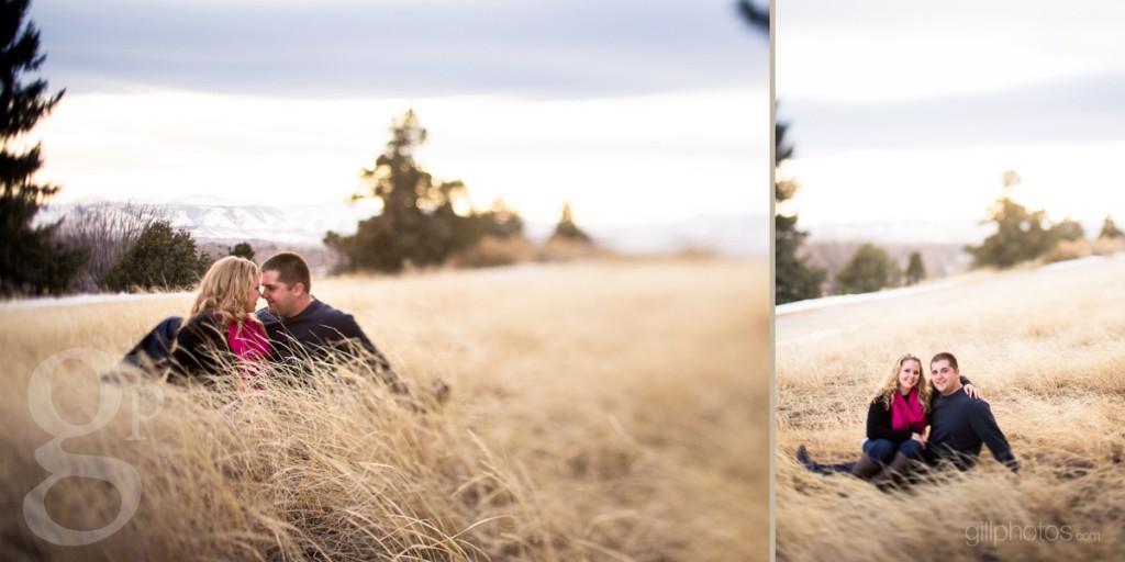 IMAGE: http://www.gillphotos.com/wp-content/uploads/2013/04/Denver_engagement-8-1024x512.jpg