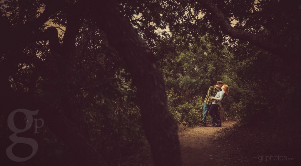 IMAGE: http://www.gillphotos.com/wp-content/uploads/2013/10/Denver-CO-Engagement-12-1024x564.jpg