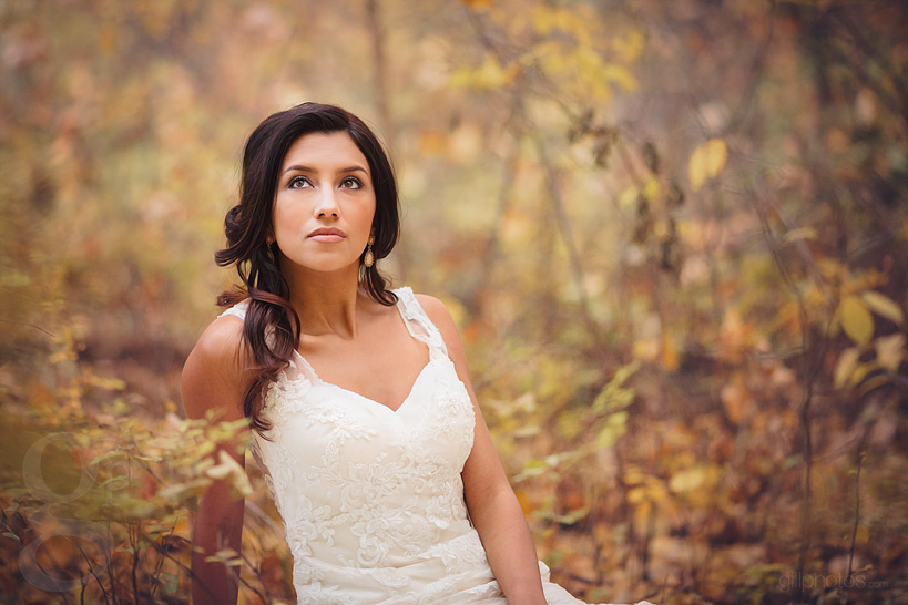 IMAGE: http://www.gillphotos.com/wp-content/uploads/2013/12/Denver-Wedding-Photographer-12.jpg