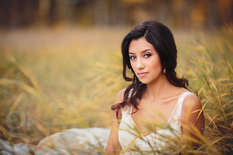 IMAGE: http://www.gillphotos.com/wp-content/uploads/2013/12/Denver-Wedding-Photographer-6.jpg