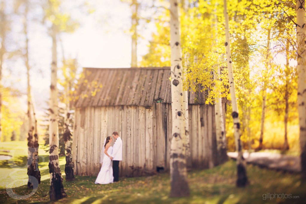 IMAGE: http://www.gillphotos.com/wp-content/uploads/2013/12/beaver-creek-westin-wedding-29-1024x682.jpg