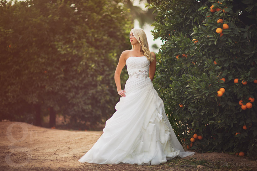 IMAGE: http://www.gillphotos.com/wp-content/uploads/2014/01/Mesa-Wedding-Photographer-in-Arizona-1.jpg