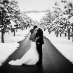 Spruce Mountain Ranch Wedding